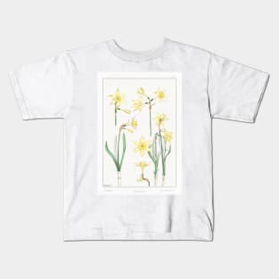 Jonquil (1896) Kids T-Shirt